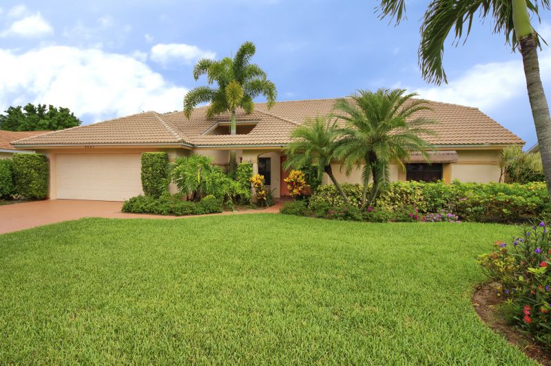 Palm Tree Removal in Pottstown, PA