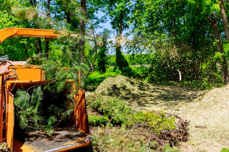 Tree Chipping Services Overview