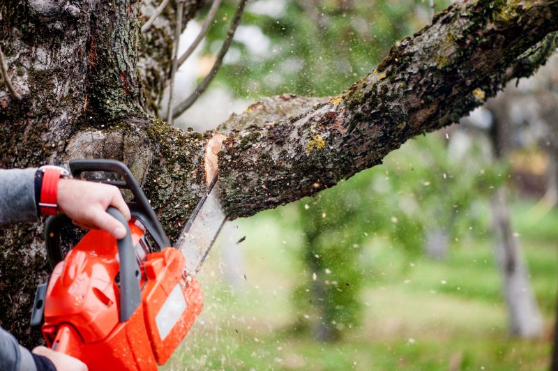 Tree Chipping Services for Your Property