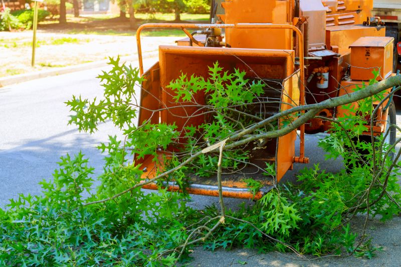 Tree Chipping