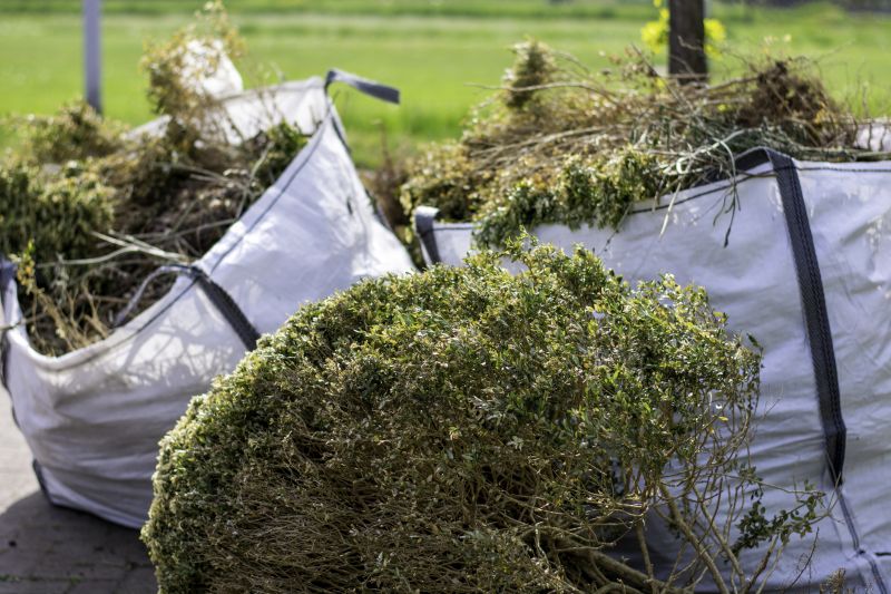 Bush Trimming Service in Aiken, SC