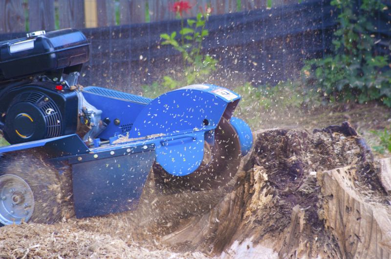 Commercial Stump Grinding in Waldorf, MD