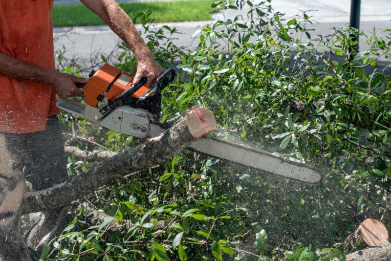 Commercial Tree Trimming in Aiken, SC
