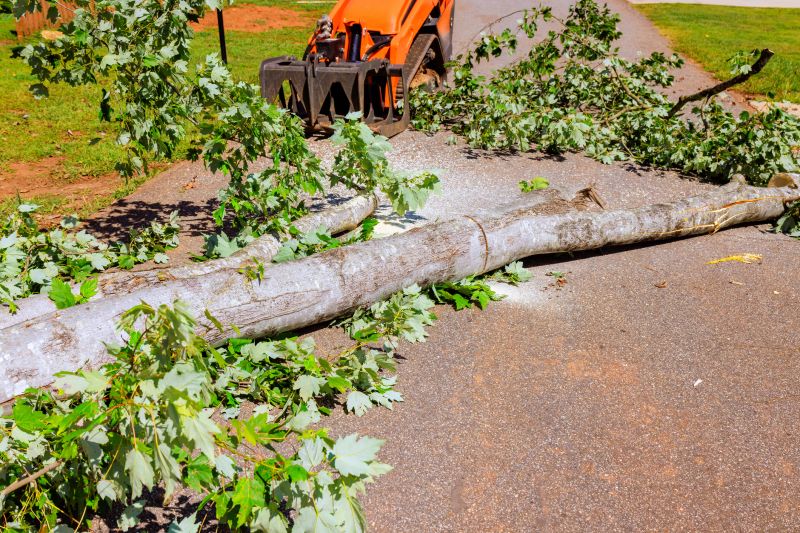 Dead Tree Removal in Bucks County, PA