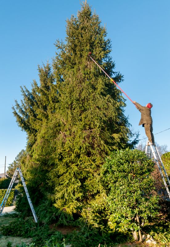 Emergency Tree Trimming in Doylestown, PA