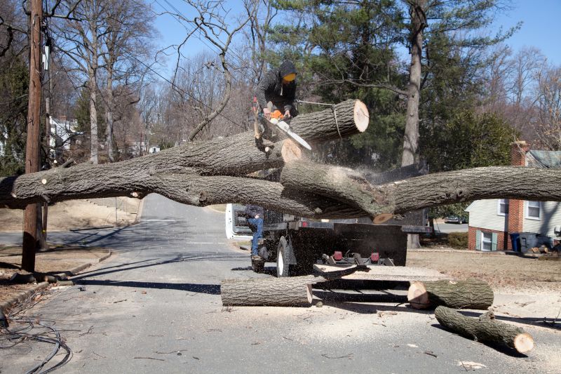 Tree Cutting Near Power Lines