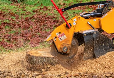 Stump Cutting in Aiken, SC