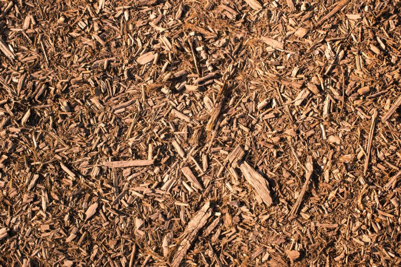 Tree Chippings for Composting
