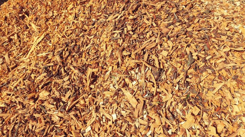 Mulching with Tree Chippings