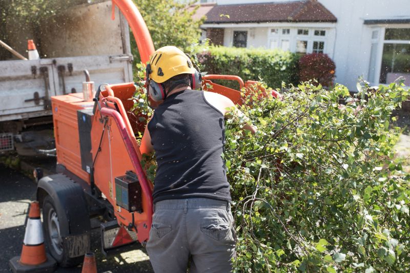 Understanding Tree Chipping Costs — Cost of Tree Chipping